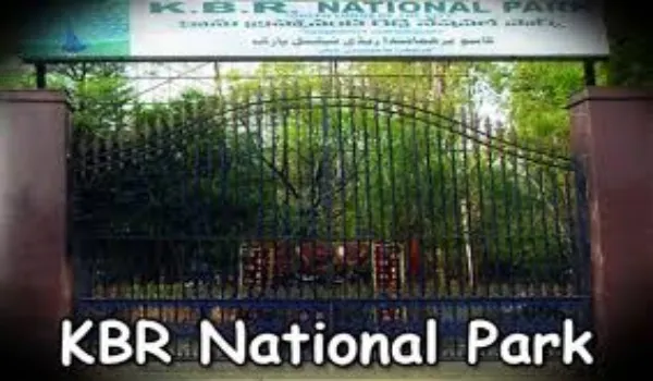 kasu-brahmanandha-reddy-national-park